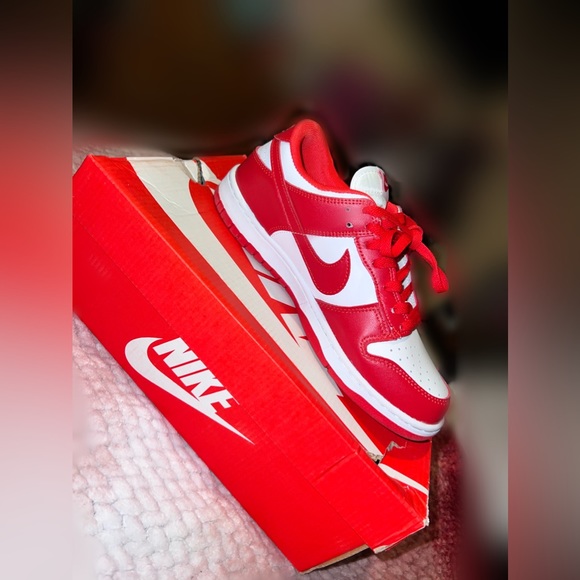 dunk low retro sp st johns